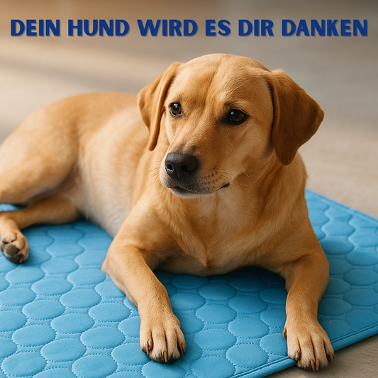 FrostyPaws Kühlmatte – Die coole Auszeit für deinen Vierbeiner
